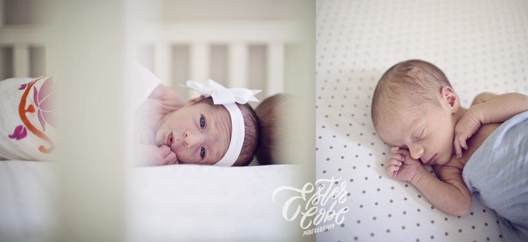 Michigan Newborn Photographer
