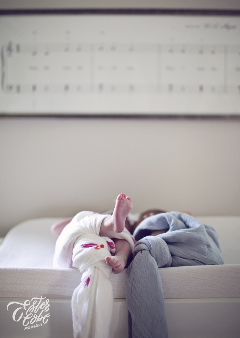 Michigan Newborn Photographer