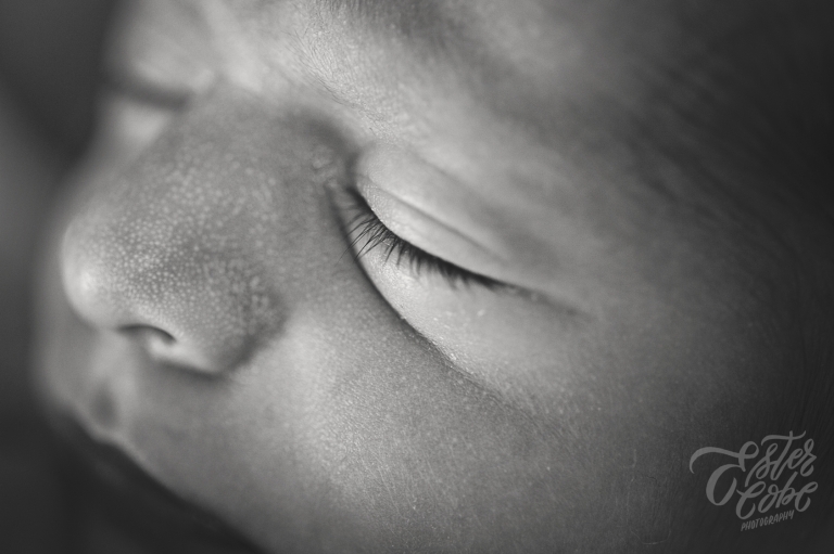 Michigan Newborn Photographer