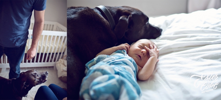 Ann Arbor Newborn Photographer12