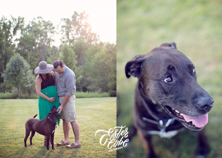 Ann Arbor Maternity Photographer