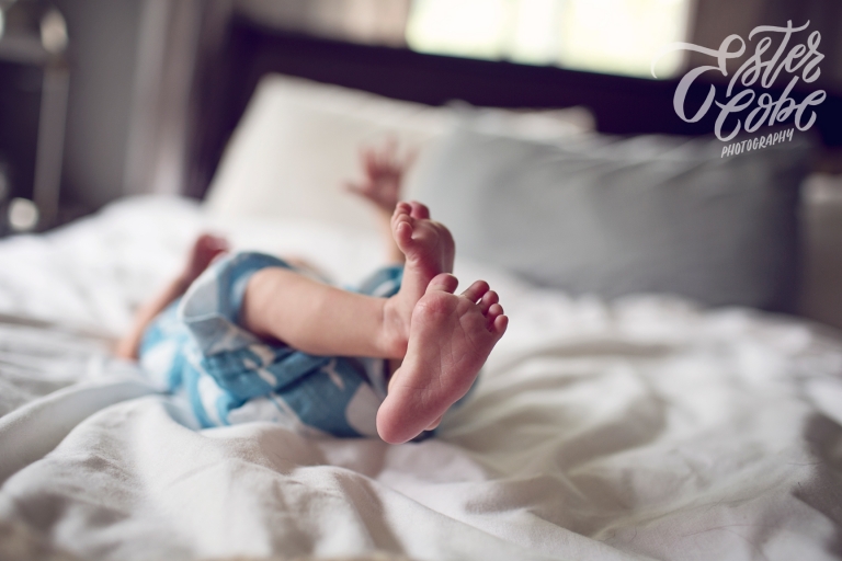 Ann Arbor Newborn Photographer1