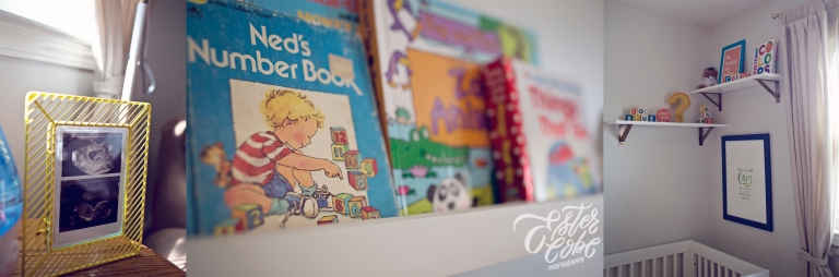 Ann Arbor Newborn Photographer3