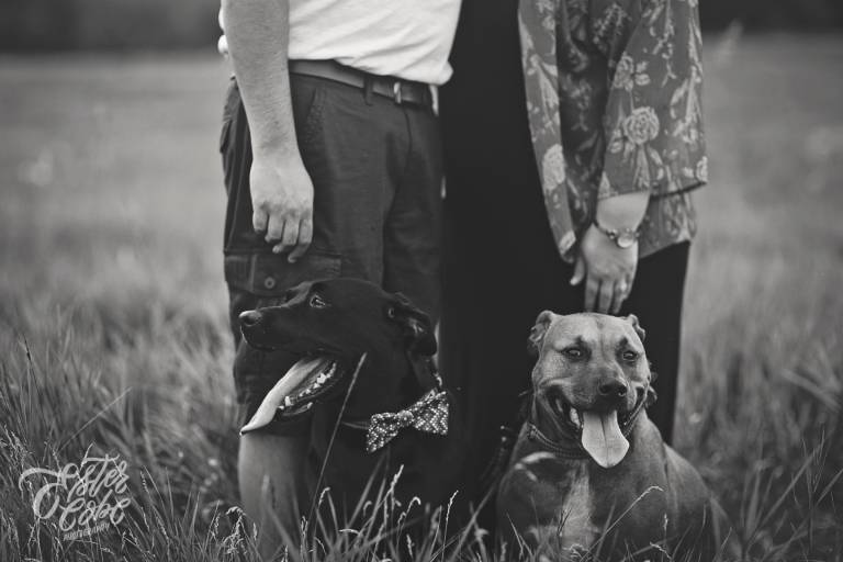 KensingtonEngagement-8