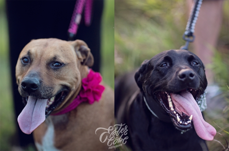 KensingtonEngagement-2