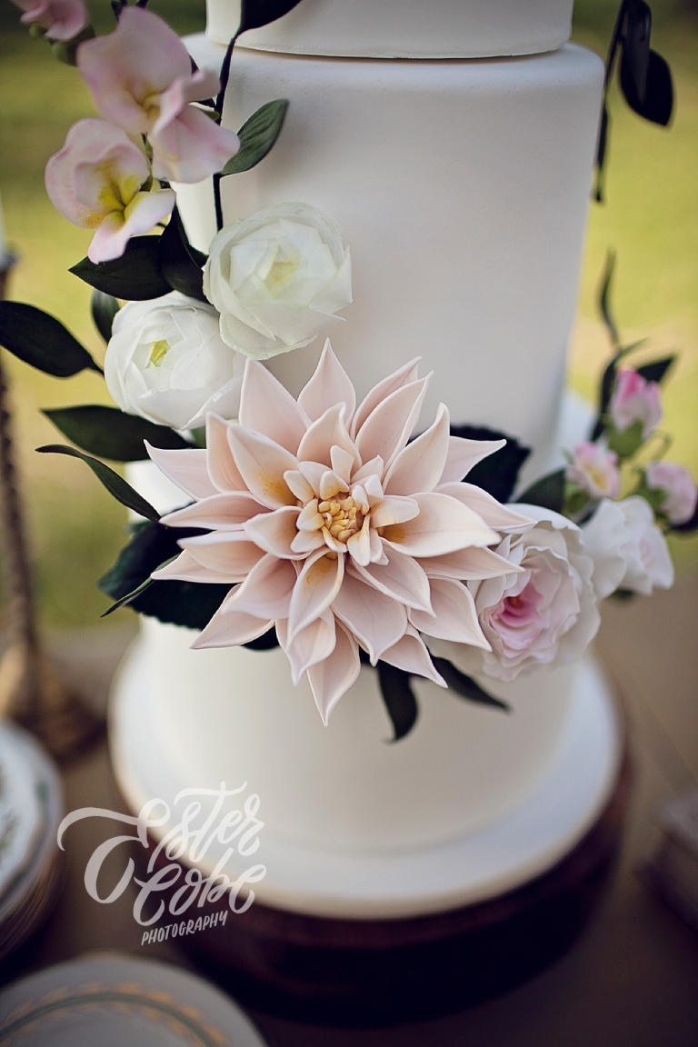 Sweet Heather Anne Cake 