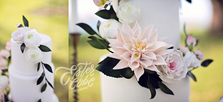 Spring Cake by Sweet Heather Anne