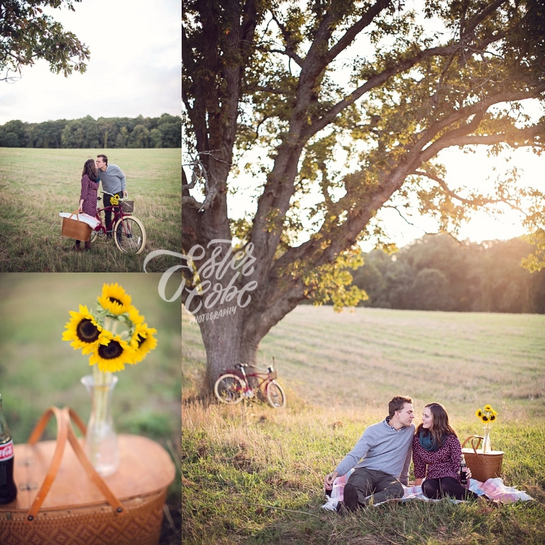 Picnic Engagement Shoot