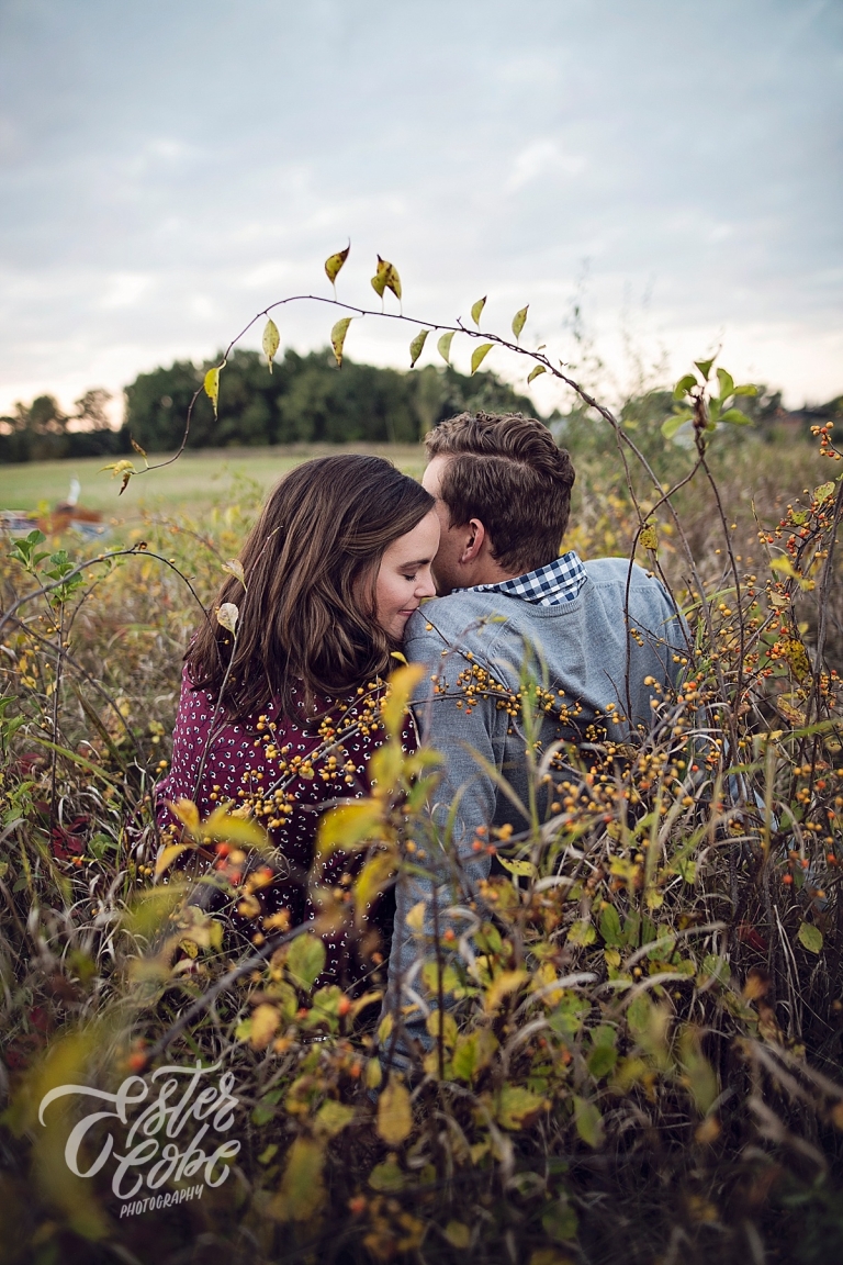 Images I love : Bittersweet Berries in Fall