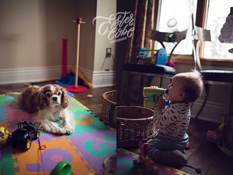  Documenting Everyday Photographer