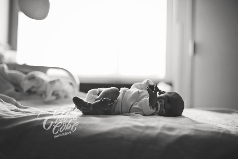 Ester Cobe Photography Michigan Birth Photographer
