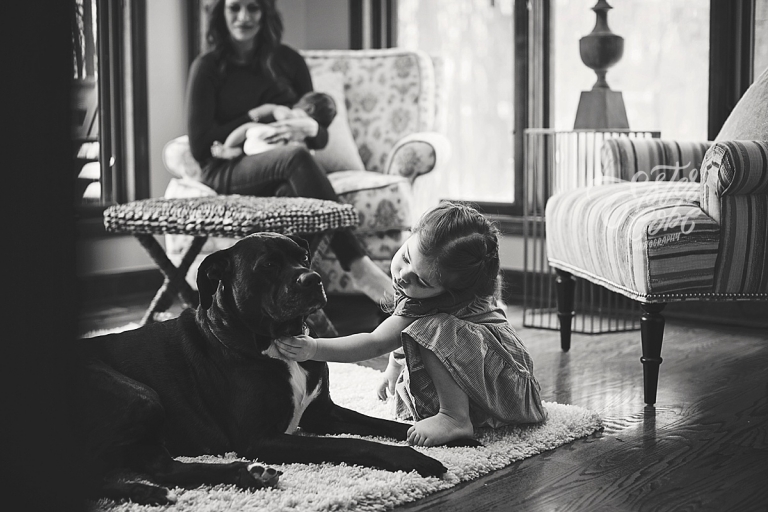 Good old dog Newborn in Home Photography