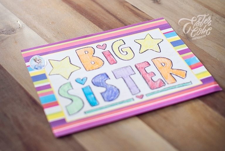 Big sister sign Newborn in Home Photography