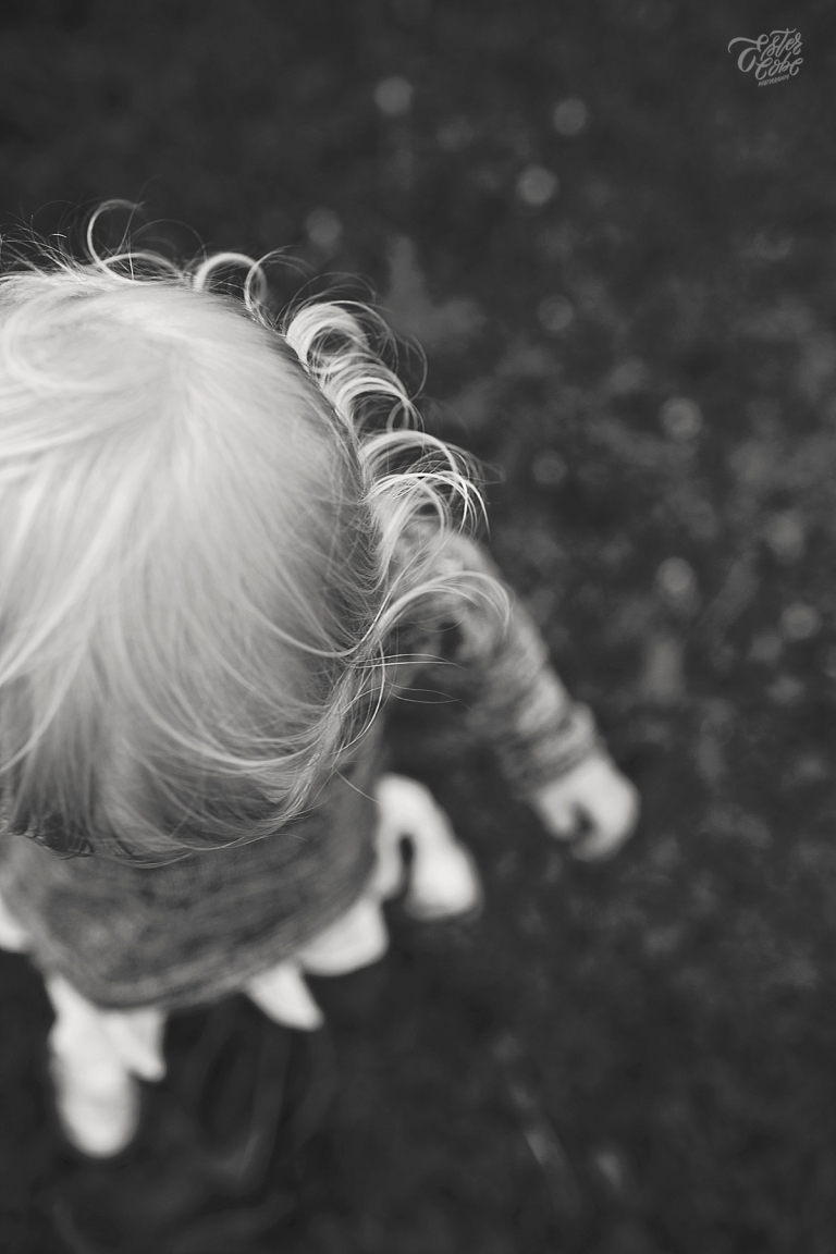 Outdoor Family Photo - small toddler