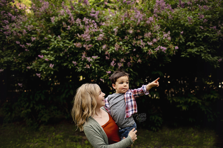 June Mini, Lilac Mini Session, Michigan Professional Photographer, Ann Arbor and Metro Detroit