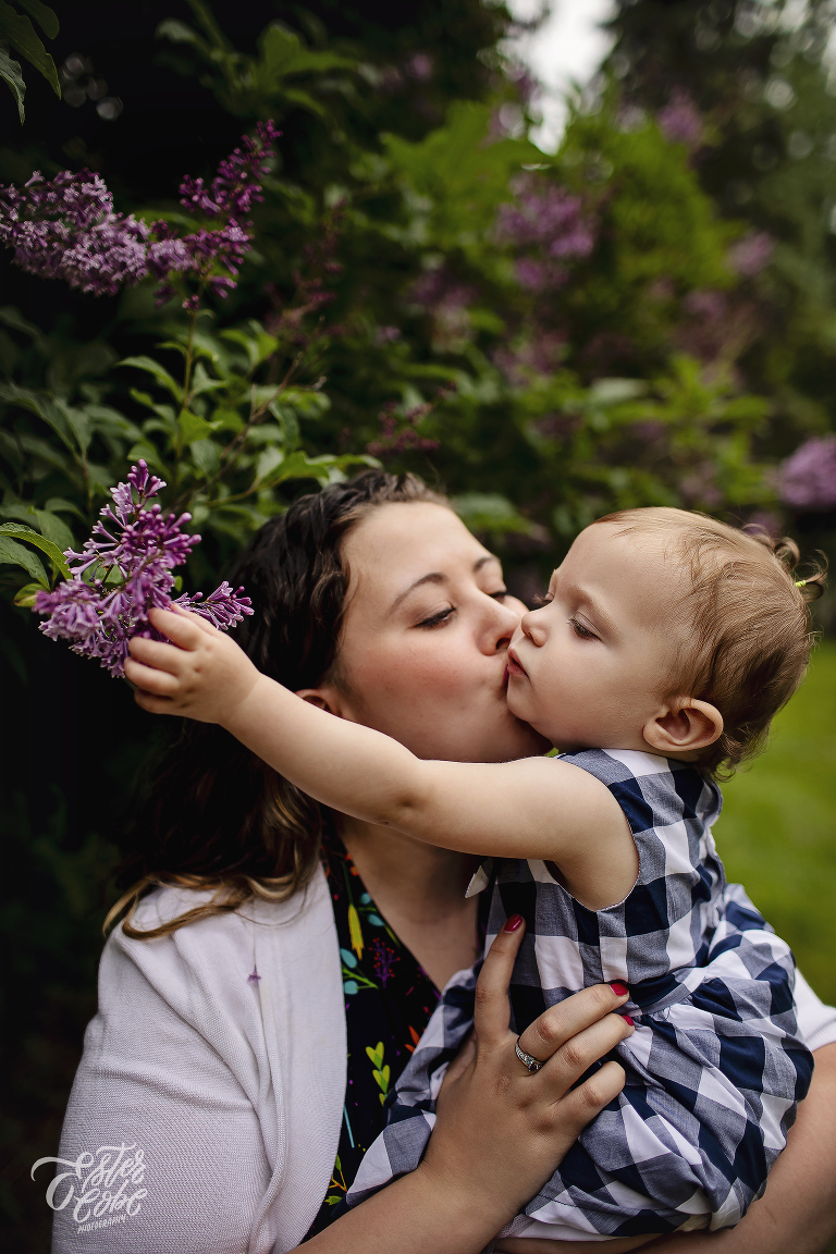 June Mini, Lilac Mini Session, Michigan Professional Photographer, Ann Arbor and Metro Detroit