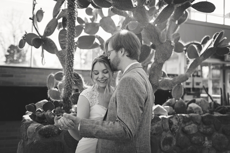 Michigan Cactus Engagement session