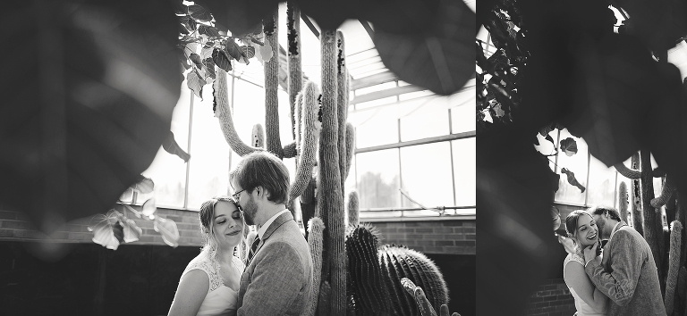 University of Michigan Matthaei Botanical Gardens Cactus Engagement