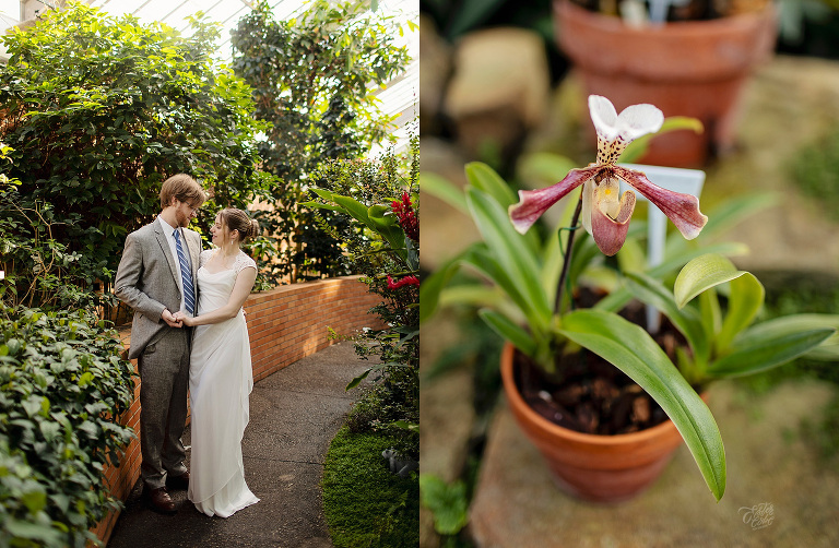 Matthaei Botanical Garden Engagement