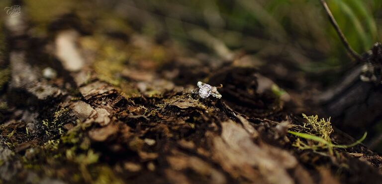 engagement ring photograph